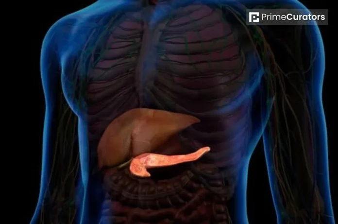 Diabetic Man Starts Making Insulin After Receiving World-First Gene-Edited Pancreatic Cells