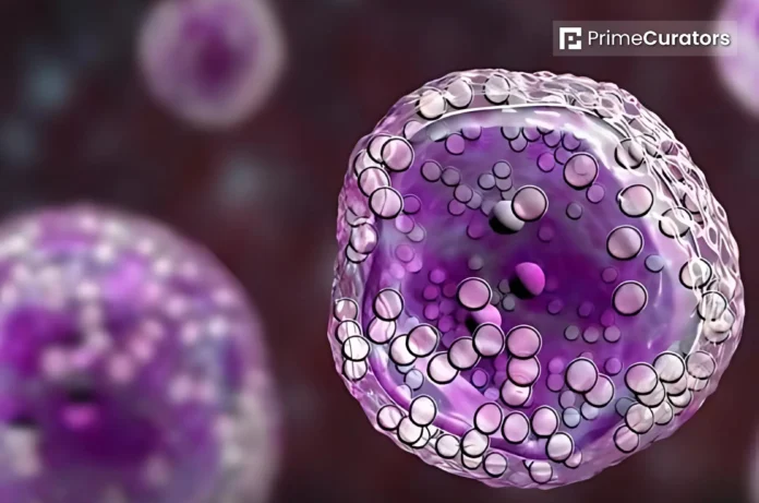 Lab-Grown Immune Cells Just Reversed Memory Loss and Brain Aging