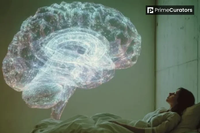 Research Shows Daytime Naps Lead to Larger Brain Volume and Slower Neural Aging