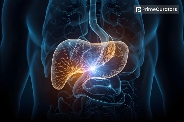 A Diabetes Gamechanger New 3D printed Pancreas Cells May Replace Daily Insulin Injections With a Long-term Implant