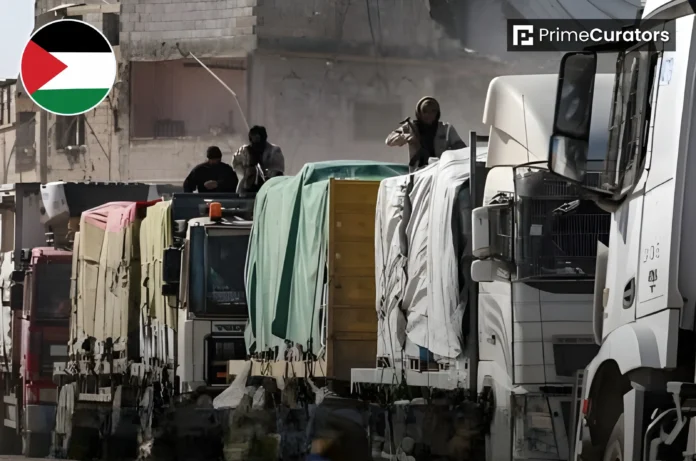 Fresh Fruits, Vegetables, Chicken, Meat Arrive in Southern Gaza