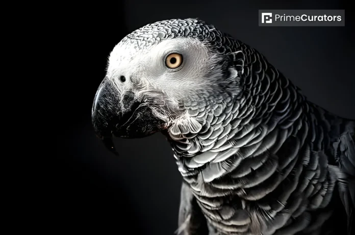 British Parrot Missing For Four Years Returns Home Speaking Spanish
